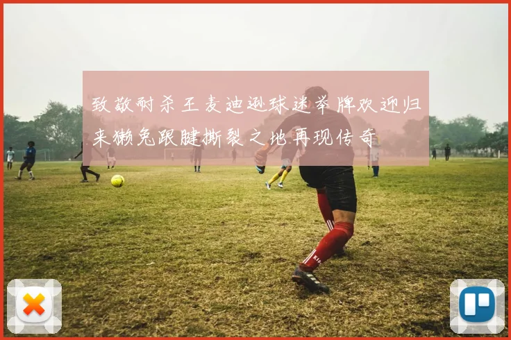 致敬耐杀王麦迪逊球迷举牌欢迎归来獭兔跟腱撕裂之地再现传奇